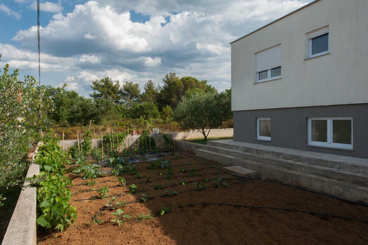 Villa Karla Debeljak - Zadar Exterior photo